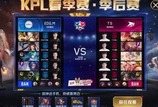 王者荣耀最新kpl皮肤爆料,神秘英雄即将登场！